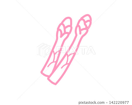 Hand-drawn asparagus vegetable illustration, pink Hand-drawn asparagus vegetable illustration, pink 142220977