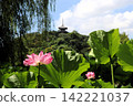 Lotus flowers and a three-story pagoda at Sankei-en Garden, Yokohama City, Kanagawa Prefecture. Lotus flowers and a three-story pagoda at Sankei-en Garden, Yokohama City, Kanagawa Prefecture. 142221037