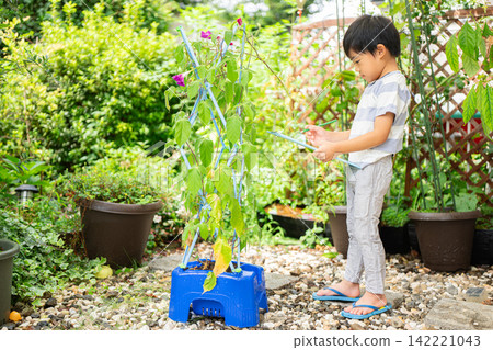 A first-grade boy is writing a picture diary of morning glories for his summer homework. A first-grade boy is writing a picture diary of morning glories for his summer homework. 142221043