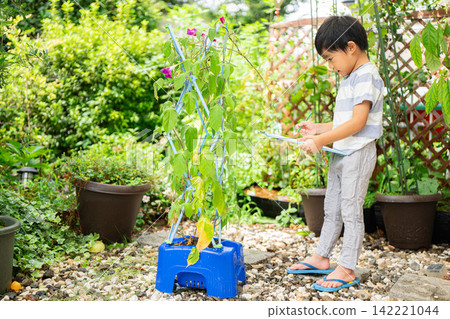 A first-grade boy is writing a picture diary of morning glories for his summer homework. A first-grade boy is writing a picture diary of morning glories for his summer homework. 142221044