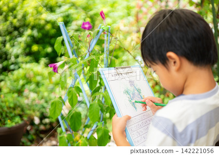 A first-grade boy is writing a picture diary of morning glories for his summer homework. A first-grade boy is writing a picture diary of morning glories for his summer homework. 142221056