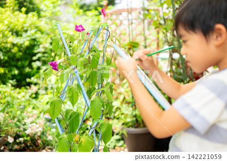 A first-grade boy is writing a picture diary of morning glories for his summer homework. A first-grade boy is writing a picture diary of morning glories for his summer homework. 142221059