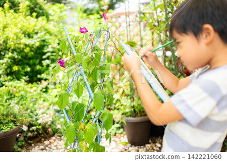 A first-grade boy is writing a picture diary of morning glories for his summer homework. A first-grade boy is writing a picture diary of morning glories for his summer homework. 142221060