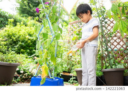 A first-grade boy is writing a picture diary of morning glories for his summer homework. A first-grade boy is writing a picture diary of morning glories for his summer homework. 142221063