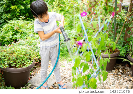 A first-grade boy is writing a picture diary of morning glories for his summer homework. A first-grade boy is writing a picture diary of morning glories for his summer homework. 142221076