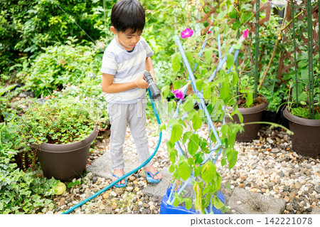 A first-grade boy is writing a picture diary of morning glories for his summer homework. A first-grade boy is writing a picture diary of morning glories for his summer homework. 142221078