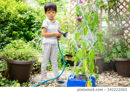 A first-grade boy is writing a picture diary of morning glories for his summer homework. A first-grade boy is writing a picture diary of morning glories for his summer homework. 142221083