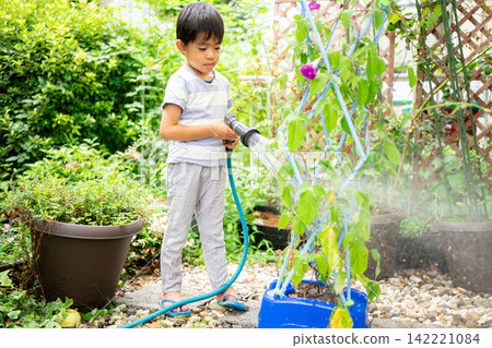 A first-grade boy is writing a picture diary of morning glories for his summer homework. A first-grade boy is writing a picture diary of morning glories for his summer homework. 142221084