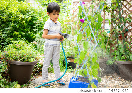 A first-grade boy is writing a picture diary of morning glories for his summer homework. A first-grade boy is writing a picture diary of morning glories for his summer homework. 142221085