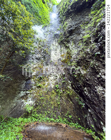 Iwakoya Falls, Male Falls (Iwakoya Mountain, Shitara Town, Aichi Prefecture) Iwakoya Falls, Male Falls (Iwakoya Mountain, Shitara Town, Aichi Prefecture) 142221714