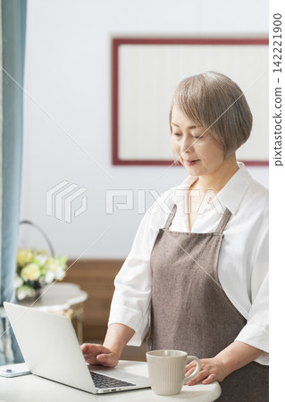 A senior woman using her laptop by the living room window. 142221900