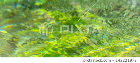 Image materials depicting the fresh greenery of a forest, a clear stream, and summer colors reflected on the water's surface. 142221972
