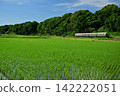 A train in the Mie Kotsu livery on the Sangi Railway Hokusei Line running through a rural area. 142222051