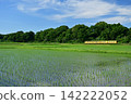 A train on the Sangi Railway Hokusei Line running through a rural area. 142222052