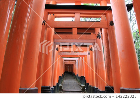 京都伏見稻荷神社,鳥居門 京都伏見稻荷神社,鳥居門 142222325