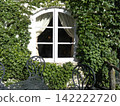 Furano, Wind Garden: White windows and ivy, mid-August 2026 142222720