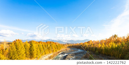北海道美瑛町的秋色清新宜人,美瑛川穿城而過,秋葉紛飛,十勝山脈巍峨聳立。 北海道美瑛町的秋色清新宜人,美瑛川穿城而過,秋葉紛飛,十勝山脈巍峨聳立。 142222762