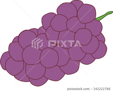 秋季美食(葡萄)插圖 秋季美食(葡萄)插圖 142222788