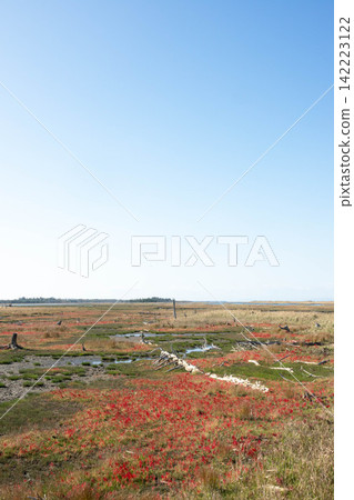 秋季北海道東部根室市春國台的壯麗景色。 秋季北海道東部根室市春國台的壯麗景色。 142223122
