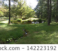 Furano Wind Garden, Stream and Pond, Mid-August 2026 142223192