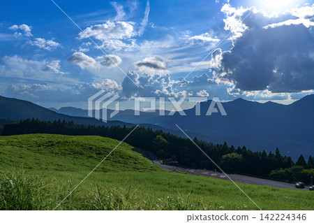 Pampas grass on a plateau gently illuminated by the sun. Soni Plateau. 35mm. Copy space above. Horizontal composition with clouds on the right. Suitable for B0 poster. Pampas grass on a plateau gently illuminated by the sun. Soni Plateau. 35mm. Copy space above. Horizontal composition with clouds on the right. Suitable for B0 poster. 142224346
