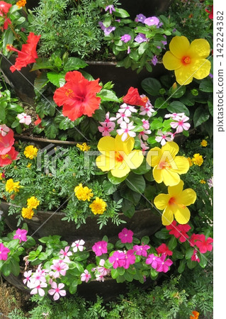 Three-dimensional flower arrangement Three-dimensional flower arrangement 142224382