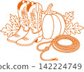 Western Cowboy Boots with Pumpkin and Rope Autumn Illustration 142224749