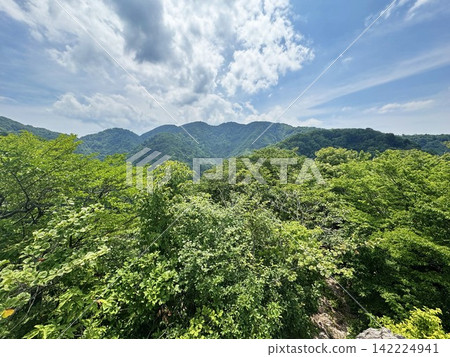 魚王山，從白鶴山到奧魚山 142224941