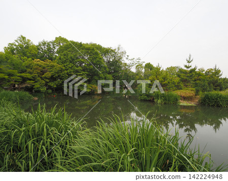 Junsaike Green Space, June 2023 Junsaike Green Space, June 2023 142224948