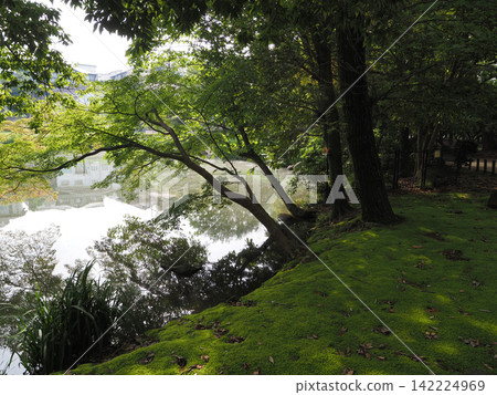 Junsaike Green Space, June 2023 142224969