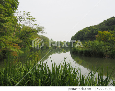 Junsaike Green Space, June 2023 142224970