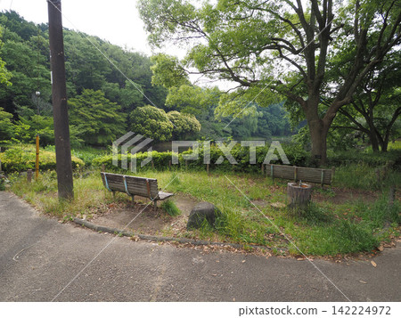 純齋池綠地,2023年6月 純齋池綠地,2023年6月 142224972