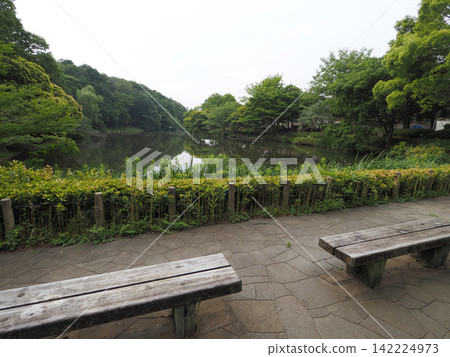 純齋池綠地,2023年6月 純齋池綠地,2023年6月 142224973