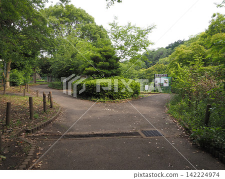 純齋池綠地，2023年6月 142224974