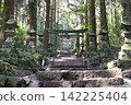 通往上敷熊野神社和杉樹林的路 142225404