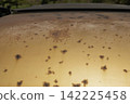 Rust and scratches on a car Rusty iron plate of an old car 142225458