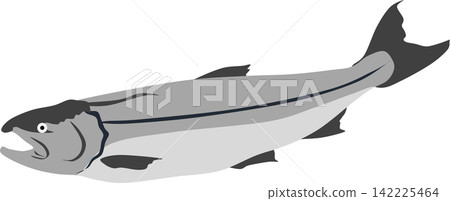 鮭魚的插圖 142225464