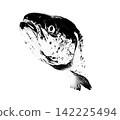 A close-up image of a salmon's head in a black and white silhouette style (black and white monochrome watercolor illustration style with transparency). 142225494