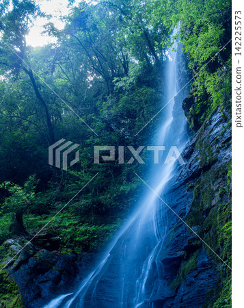 森林瀑布和山谷構成了一幅令人心曠神怡的景色。 森林瀑布和山谷構成了一幅令人心曠神怡的景色。 142225573