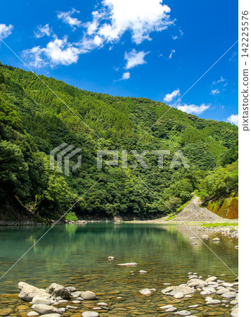 A river with fresh green leaves and a blue sky A river with fresh green leaves and a blue sky 142225576