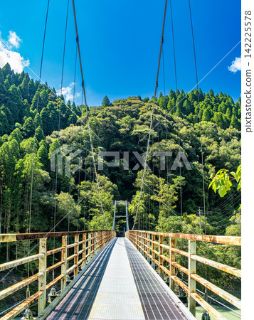 一座懸索橋和綠意盎然的山景。 一座懸索橋和綠意盎然的山景。 142225578