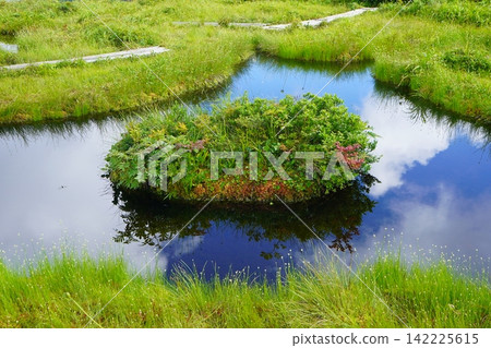 Shirakimine's floating island pond Shirakimine's floating island pond 142225615