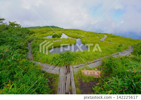 Shirakimine's floating island pond Shirakimine's floating island pond 142225617