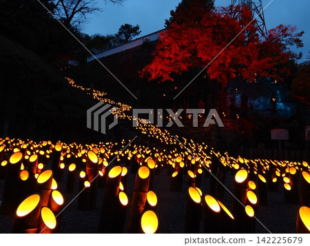 Taketa Bamboo Lanterns and Bamboo Music Taketa Bamboo Lanterns and Bamboo Music 142225679