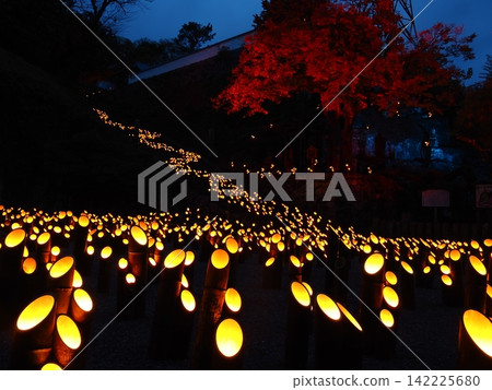 Taketa Bamboo Lanterns and Bamboo Music Taketa Bamboo Lanterns and Bamboo Music 142225680