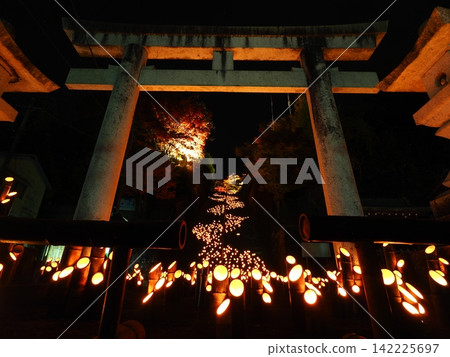 Taketa Bamboo Lanterns and Bamboo Music Taketa Bamboo Lanterns and Bamboo Music 142225697