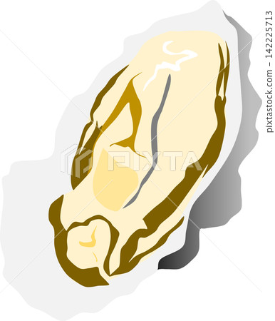 Illustration of oysters Illustration of oysters 142225713