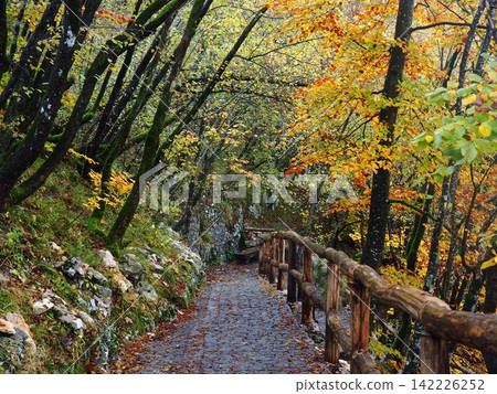 Plitvice Lakes National Park Plitvice Lakes National Park 142226252
