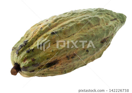 Ripe Cocoa Fruit Pod with Textured Outer Shell isolated on a white background Ripe Cocoa Fruit Pod with Textured Outer Shell isolated on a white background 142226738