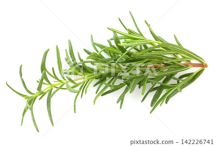 Fresh rosemary isolated on a white background. Fresh rosemary isolated on a white background. 142226741
